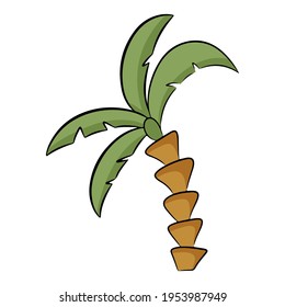 Palm tree in cartoon style. Vector illustration isolated on a white background.