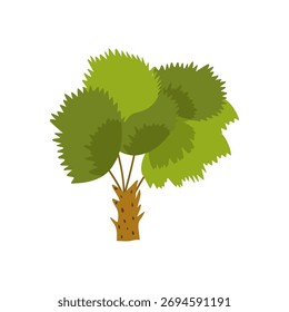 Palme. Cartoon tropischer Baum mit exotischen grünen Blättern, Stamm und Früchten. Naturdschungelpflanze. Hawaii Kokosnuss und Insel Banane Baum. Elemente des Regenwaldes. Vektorgrafik