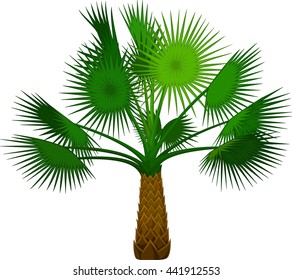 palm tree cartoon for you design