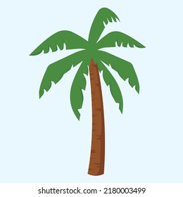 
Palm Tree Cartton Vector Illsutration, Beach Icon