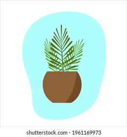 Palm tree in a clay pot. Isolated vector clipart in flat style on white background.