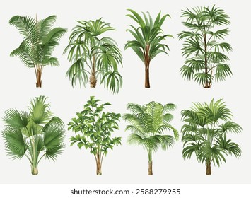 Palm tree clip art, aesthetic botanical illustration element set