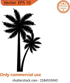 Palm Tree Clip Art. Vector Of The Palm Tree. Summer Content. Transparent Background. High Resolution. 