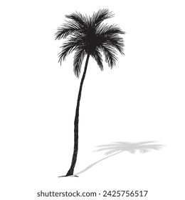 Palm tree Clipart illustration vector design
