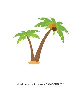 Palm tree or coconut tree cartoon image in summer On the beach Seaside tropics vector illustration.