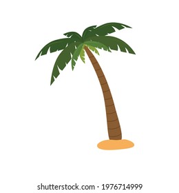 Palm tree or coconut tree cartoon image in summer On the beach Seaside tropics vector illustration.