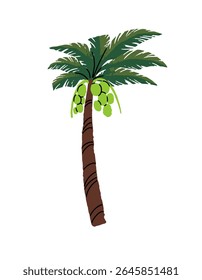 Palmeira com coco. Coco está na praia de areia da ilha. Palmeira com fruto, folhas verdes. Planta exótica de selva, floresta tropical. Mão plana desenhada isolada ilustração vetor no fundo branco