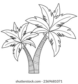 Palm Tree with coconut. Coloring page. Educational game for children. Palm tree. Beach tree. Black outline. Vector illustration.