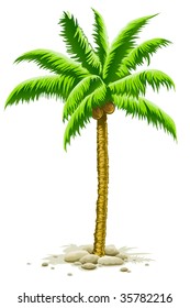 palmera con frutos de coco - ilustración vectorial