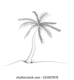 palm tree coconut with leaves, Hand drawn style design in outline monochrome contour on white background Vector illustration