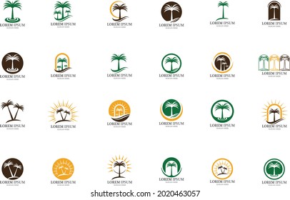 palm tree and coconut tree logo
