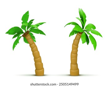 Palmera con coco. Conjunto realista de Ilustración vectorial 3D de planta tropical exótica con hojas verdes. Bosques de la selva en diferentes ángulos de vista para el mar de verano y el concepto de vacaciones de playa del océano.