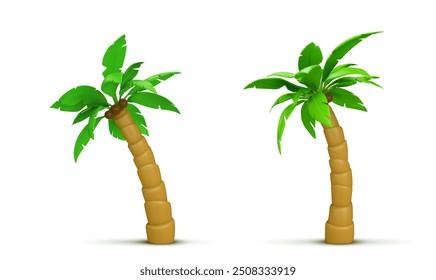 Palm tree with coconut. Realistic 3d vector illustration set of exotic tropical plant with green leaves. Jungle woods in different angles of view for summer sea and ocean beach vacation concept.