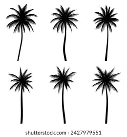 Palm tree coconut silhouette set collection for your company or brand