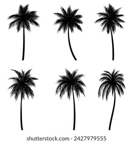 Palm tree coconut silhouette set collection for your company or brand