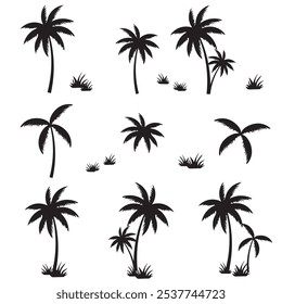 Palm tree coconut silhouette set collection suit for decoration summer tropical vector