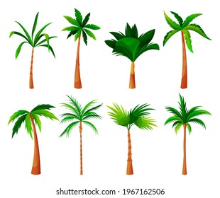 Palm tree or coconut palm vector set