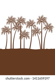 palm tree with coconut in white background