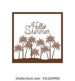 palm tree with coconut in white background