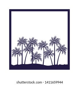 palm tree with coconut in white background