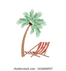 palm tree with coconut in white background