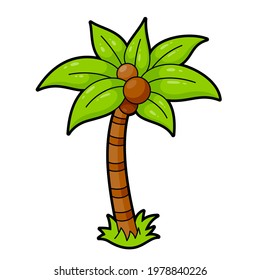 Palm tree with coconuts cartoon icon. Tropical plant pictogram. Summer holidays, vacation on beach, resort, travel, tourism concept. Vector illustration isolated on white background.