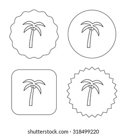 Palm tree with coconuts icon. Travel or vacation symbol. Nature environment sign. Flat circle, star and emblem buttons. Labels design. Vector