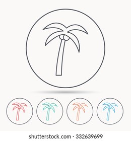Palm tree with coconuts icon. Travel or vacation symbol. Nature environment sign. Linear circle icons.