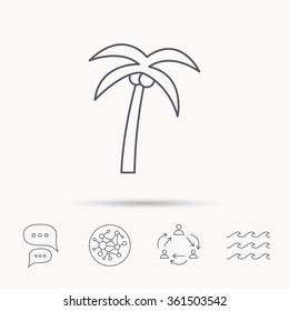 Palm tree with coconuts icon. Travel or vacation symbol. Nature environment sign. Global connect network, ocean wave and chat dialog icons. Teamwork symbol.