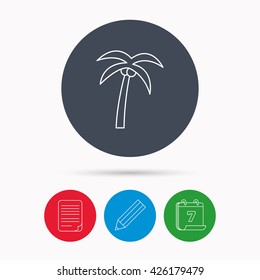 Palm tree with coconuts icon. Travel or vacation symbol. Nature environment sign. Calendar, pencil or edit and document file signs. Vector