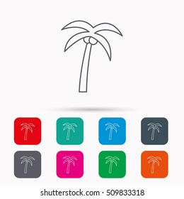 Palm tree with coconuts icon. Travel or vacation symbol. Nature environment sign. Linear icons in squares on white background. Flat web symbols. Vector
