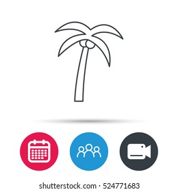 Palm tree with coconuts icon. Travel or vacation symbol. Nature environment sign. Group of people, video cam and calendar icons. Vector