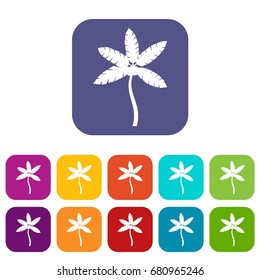 Palm tree with coconuts icons set vector illustration in flat style in colors red, blue, green, and other