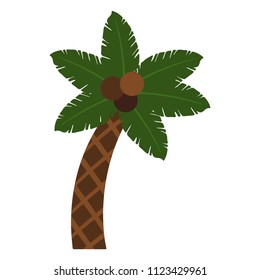 Palm Tree - Palm tree with coconuts isolated on white background