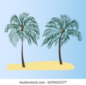 palm tree with coconuts isolated on background