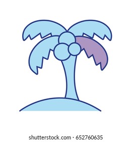 palm tree with coconuts and leaves