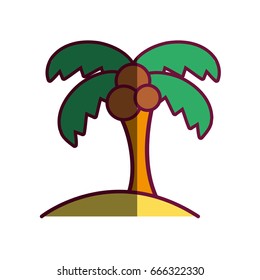 palm tree with coconuts and leaves