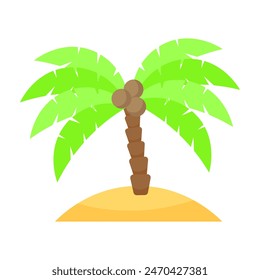 Palm tree with coconuts on the island