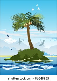 palm tree with coconuts on the island in the middle of the ocean
