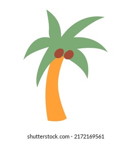 Palm tree with coconuts on isolated background. Vector  exotic tropical summer illustration in flat style
