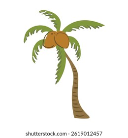 Palm tree with coconuts in simple style. Tropical, beach tree for jungle decoration, bounty coast, children's illustration. Vector image in flat, progressive style.