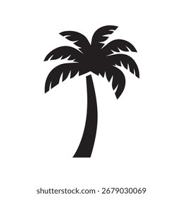 Palm tree with coconuts symbolizing tropical harvest and exotic summer experience