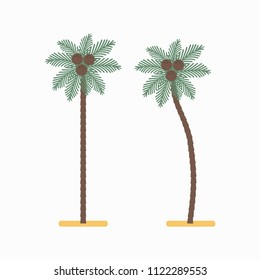 Palm tree with coconuts vector simple flat icon isolated on white background.