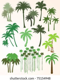 Palm Tree Collection