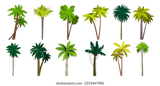 Palm tree collection. Cartoon tropical coconut and banana plant, island exotic trees, sea coast floral bush. Vector isolated set of coconut palm illustration