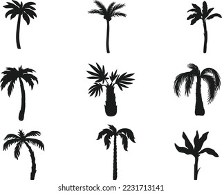 Palm tree collection isolated vector Silhouette