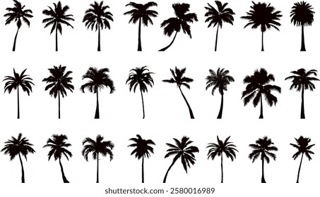 palm tree collection, set silhouette on white background vector