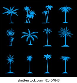 Palm tree collection, vector
