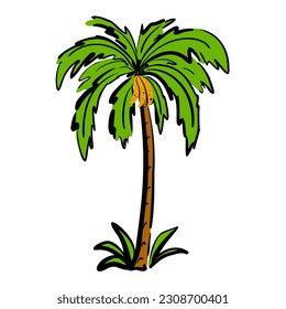 Palm tree color silhouette isolated on white background. Stylized tropical tree sketch. Vector illustration of an exotic wood.