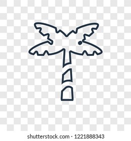 Palm tree concept vector linear icon isolated on transparent background, Palm tree concept transparency concept in outline style